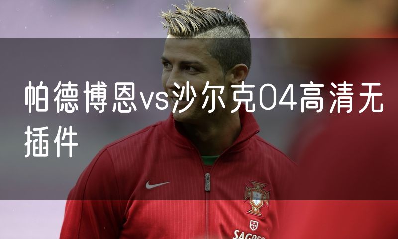 帕德博恩vs沙尔克04高清无插件