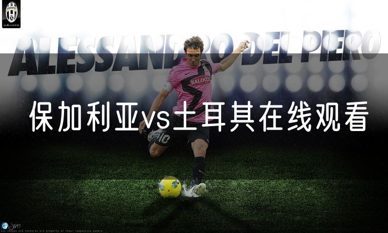 保加利亚vs土耳其在线观看