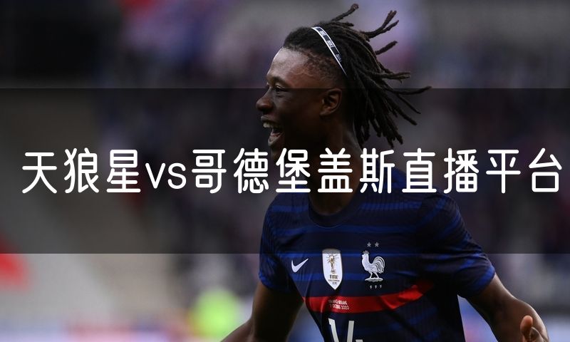 天狼星vs哥德堡盖斯直播平台
