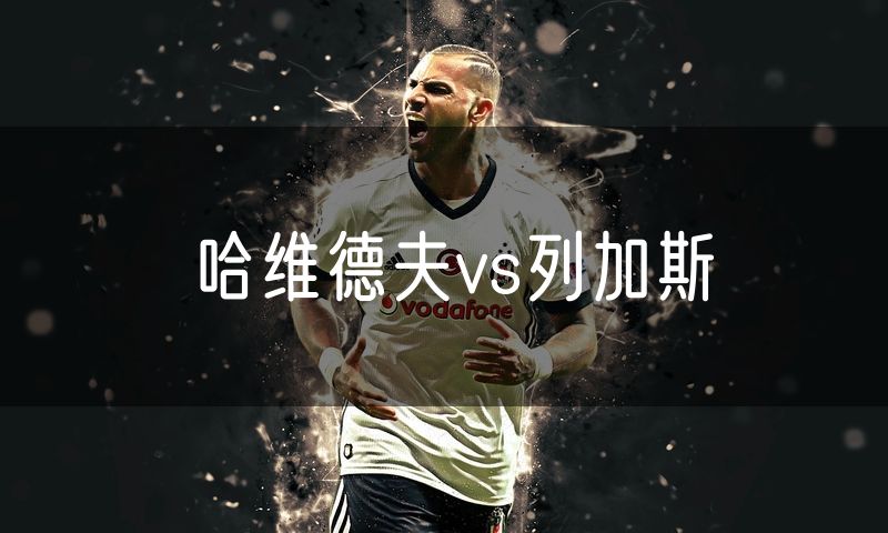 哈维德夫vs列加斯