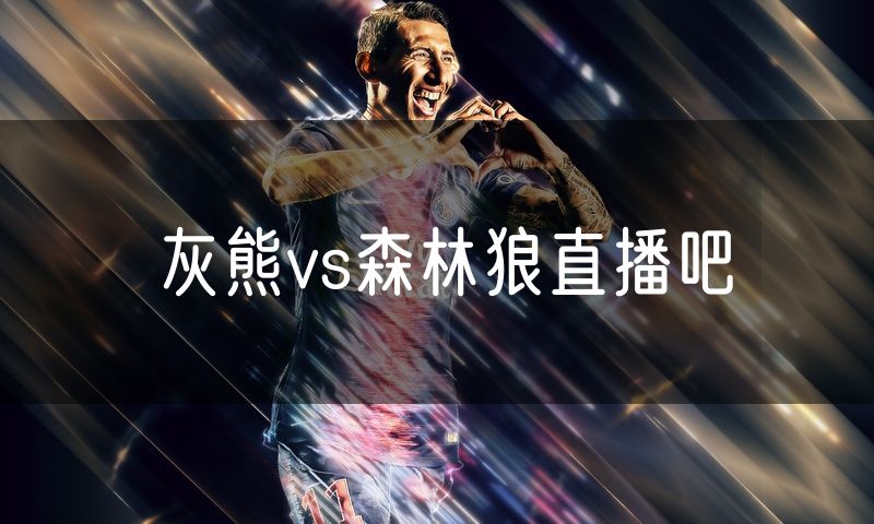 灰熊vs森林狼直播吧