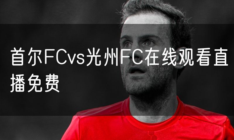 首尔FCvs光州FC在线观看直播免费 首尔FCvs光州FC在线观看直播免费