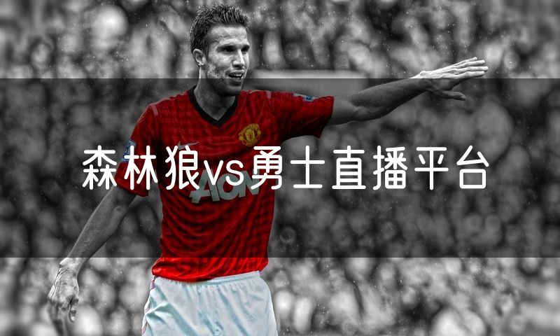 森林狼vs勇士直播平台