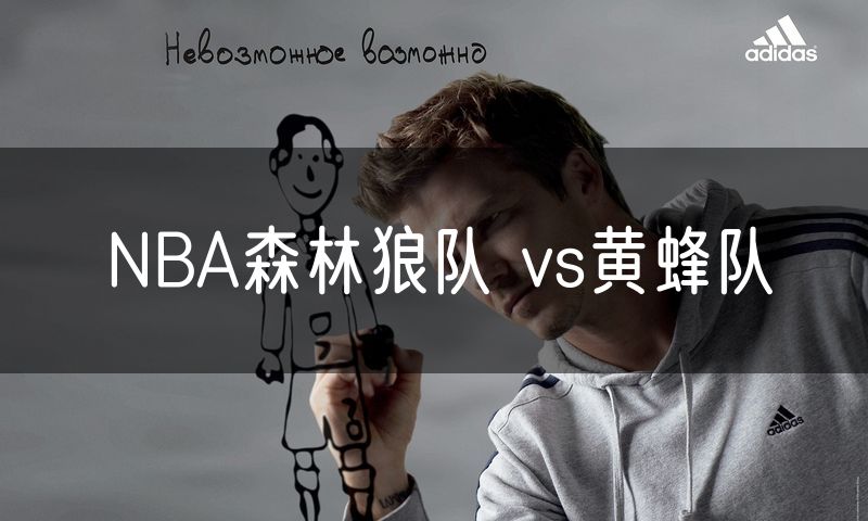 NBA森林狼队 vs黄蜂队