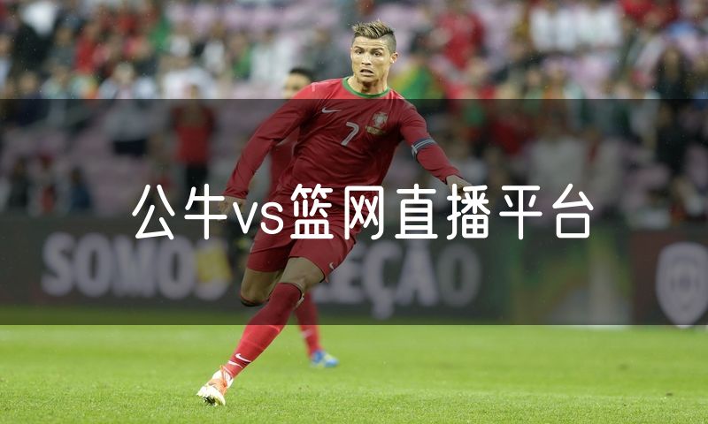 公牛vs篮网直播平台