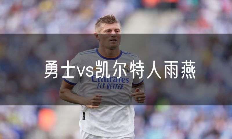 勇士vs凯尔特人雨燕