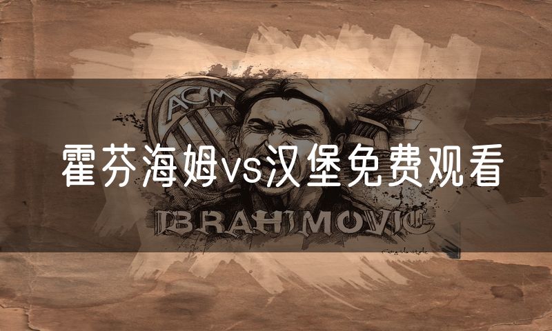 霍芬海姆vs汉堡免费观看