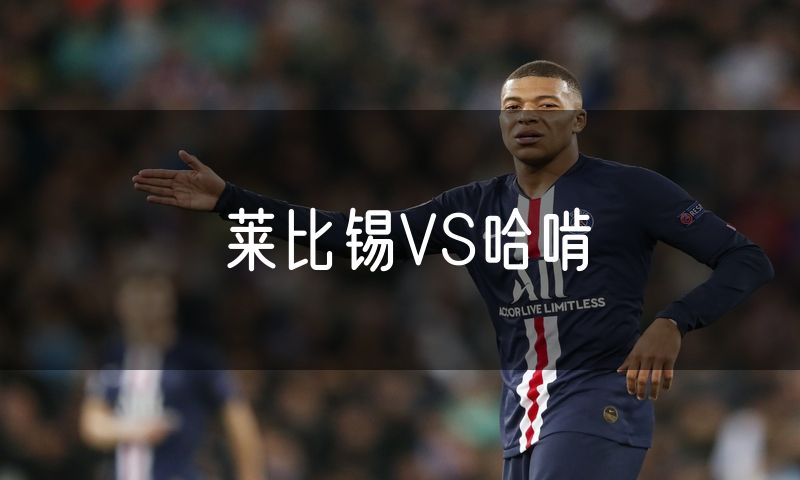 莱比锡VS哈啃