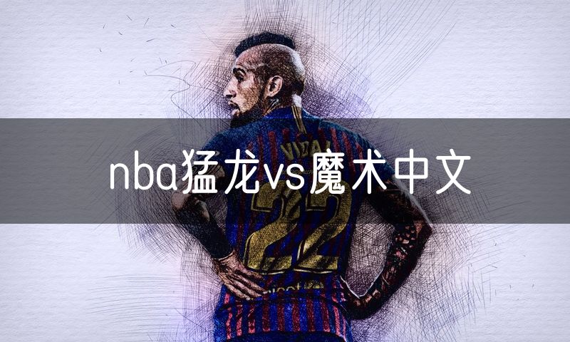 nba猛龙vs魔术中文