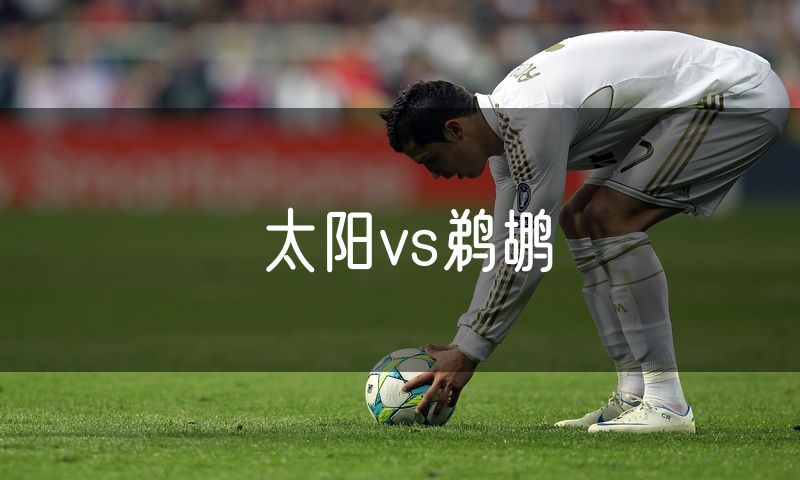 太阳vs鹈鹕 太阳vs鹈鹕