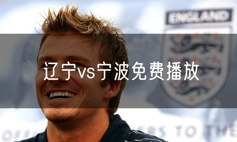 辽宁vs宁波免费播放