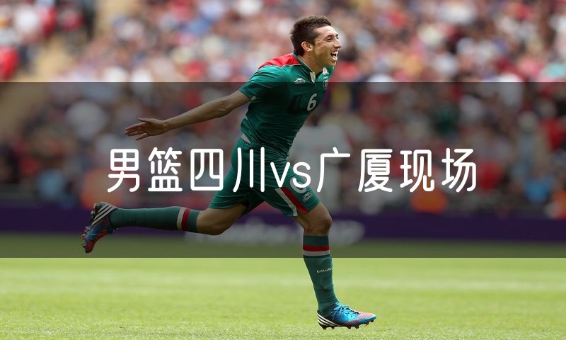 男篮四川vs广厦现场