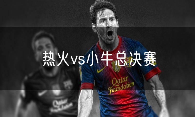 热火vs小牛总决赛 热火vs小牛总决赛