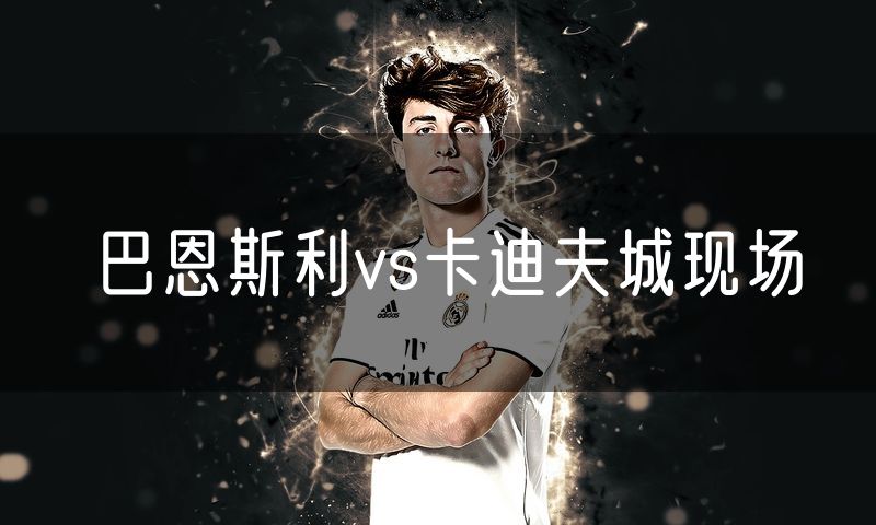 巴恩斯利vs卡迪夫城现场