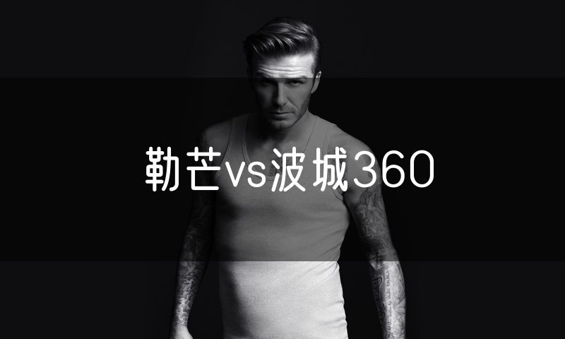 勒芒vs波城360