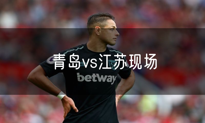 青岛vs江苏现场