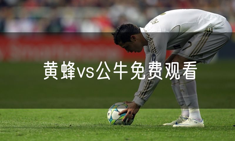 黄蜂vs公牛免费观看