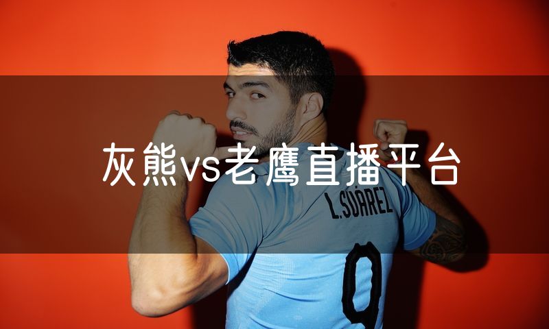 灰熊vs老鹰直播平台