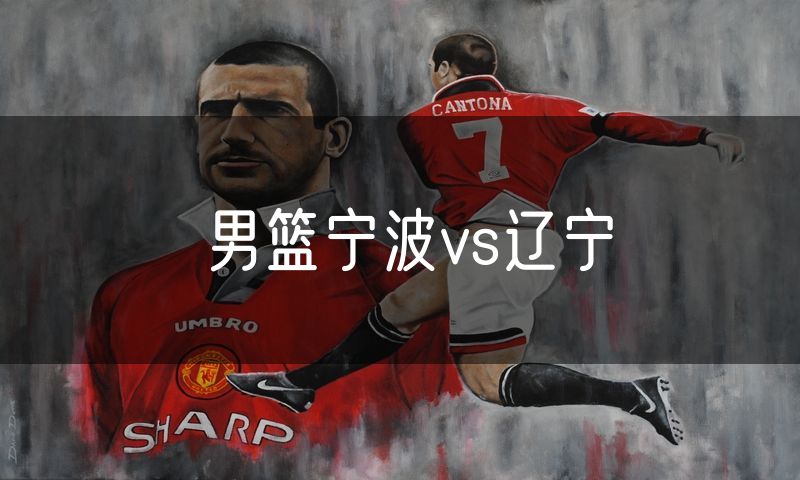 男篮宁波vs辽宁