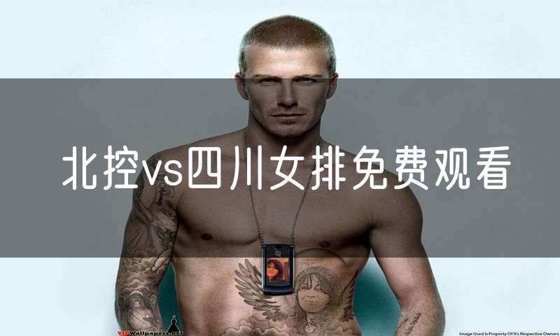 北控vs四川女排免费观看 北控vs四川女排免费观看