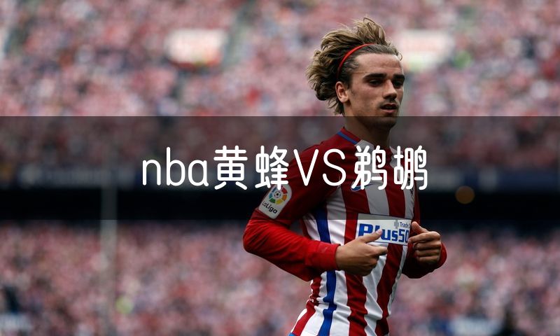 nba黄蜂VS鹈鹕 nba黄蜂VS鹈鹕