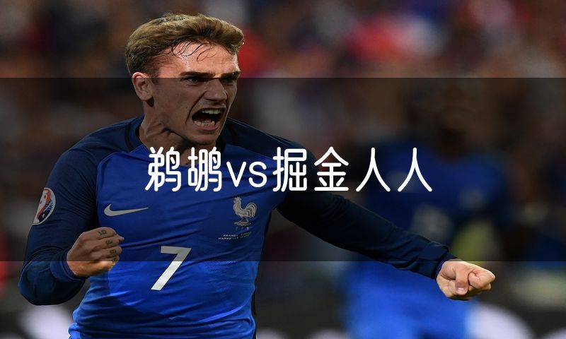 鹈鹕vs掘金人人