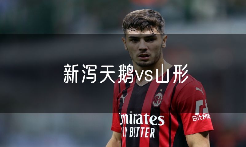 新泻天鹅vs山形