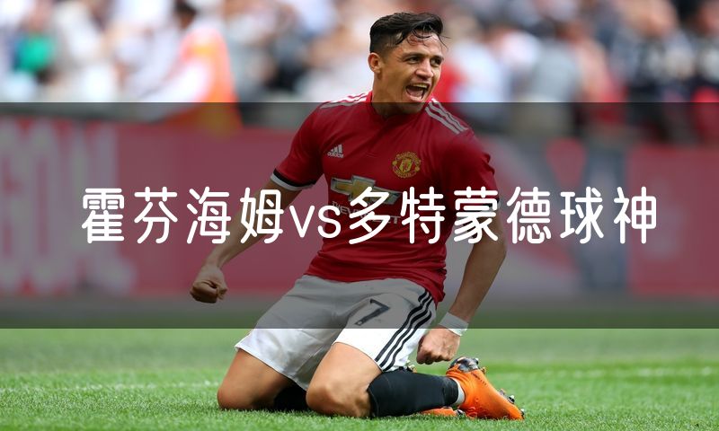 霍芬海姆vs多特蒙德球神
