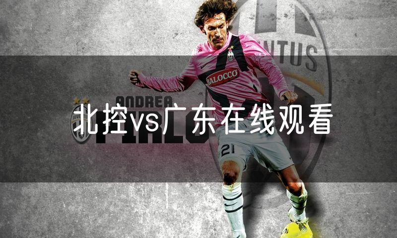 北控vs广东在线观看