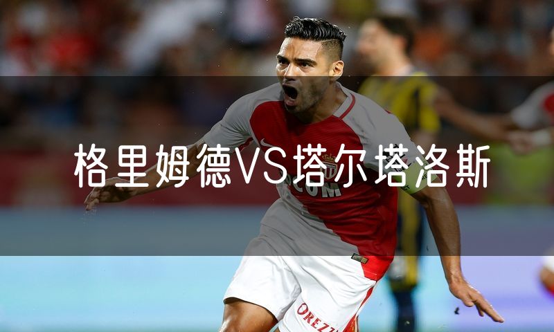格里姆德VS塔尔塔洛斯