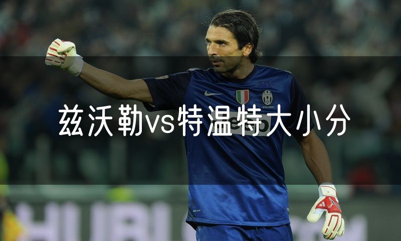兹沃勒vs特温特大小分
