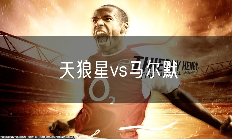 天狼星vs马尔默