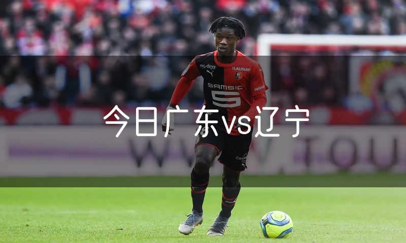 今日广东vs辽宁