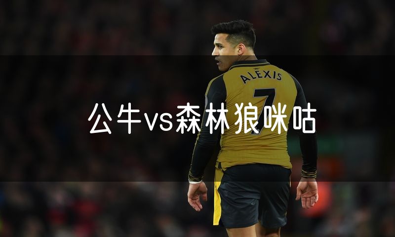 公牛vs森林狼咪咕