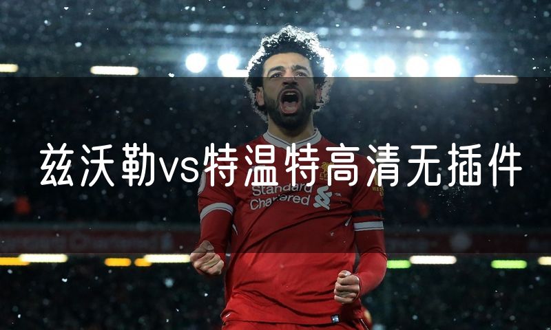 兹沃勒vs特温特高清无插件