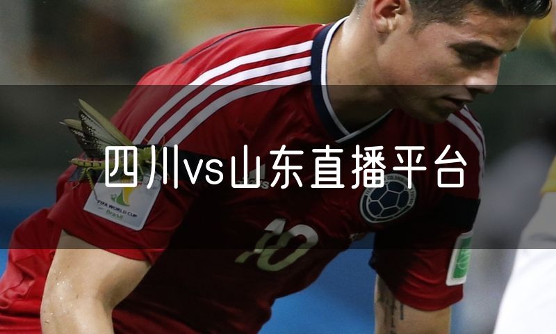 四川vs山东直播平台