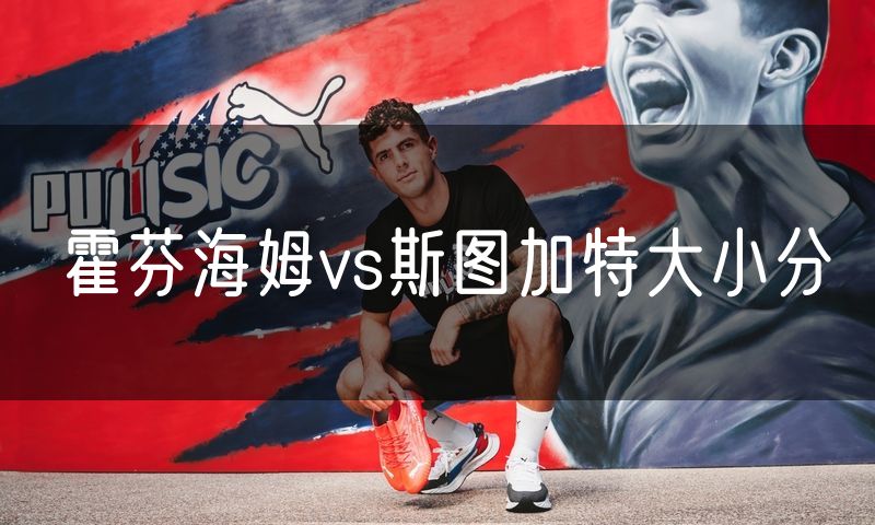 霍芬海姆vs斯图加特大小分 霍芬海姆vs斯图加特大小分