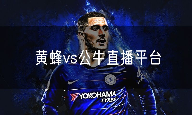 黄蜂vs公牛直播平台