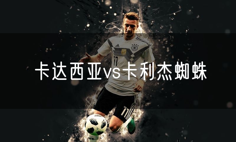 卡达西亚vs卡利杰蜘蛛