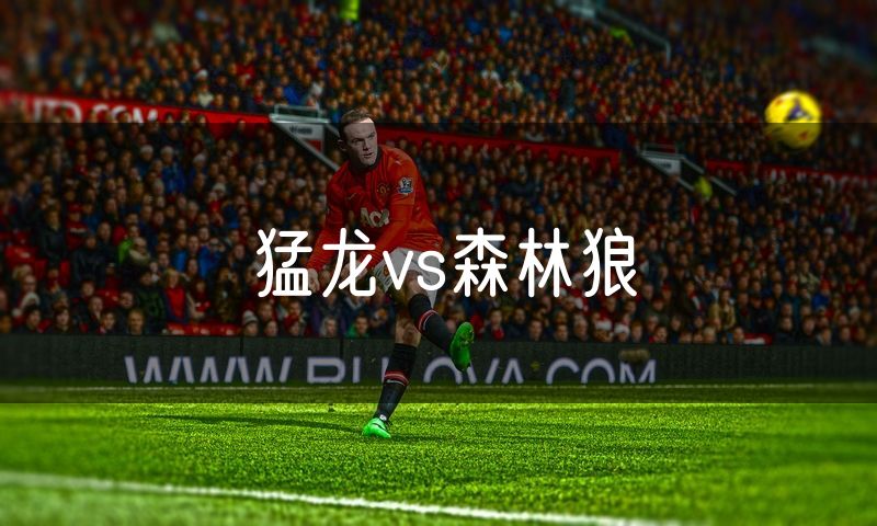 猛龙vs森林狼