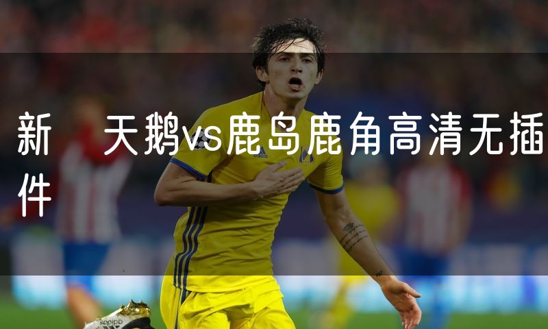 新潟天鹅vs鹿岛鹿角高清无插件 新潟天鹅vs鹿岛鹿角高清无插件