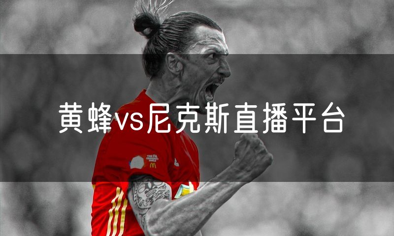 黄蜂vs尼克斯直播平台 黄蜂vs尼克斯直播平台
