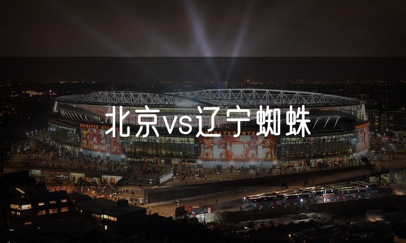 北京vs辽宁蜘蛛