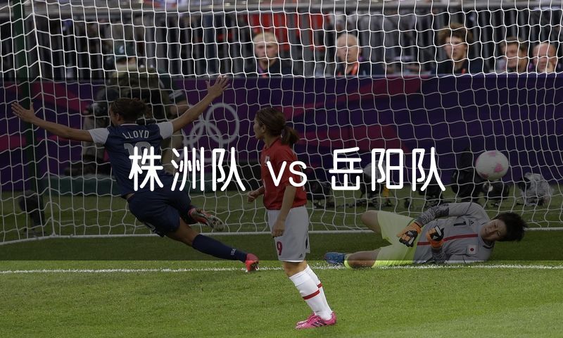 株洲队 vs 岳阳队
