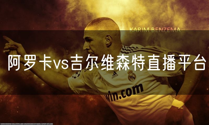 阿罗卡vs吉尔维森特直播平台 阿罗卡vs吉尔维森特直播平台
