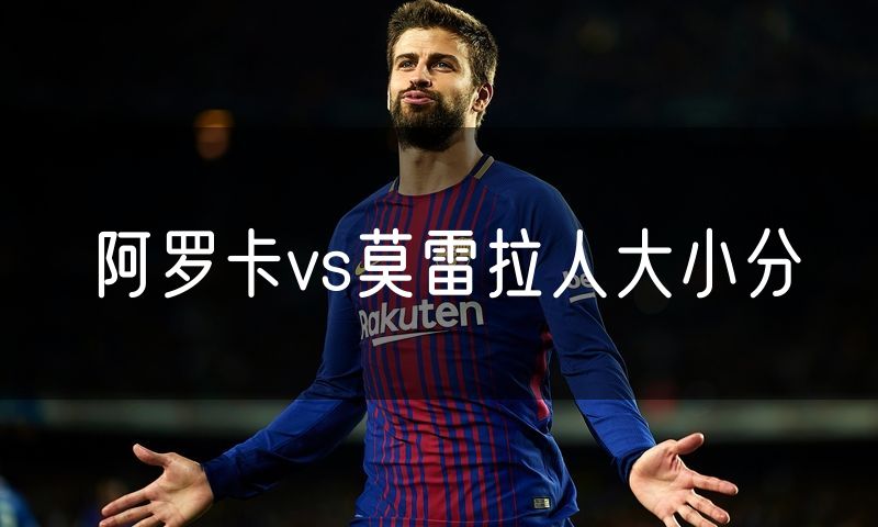 阿罗卡vs莫雷拉人大小分