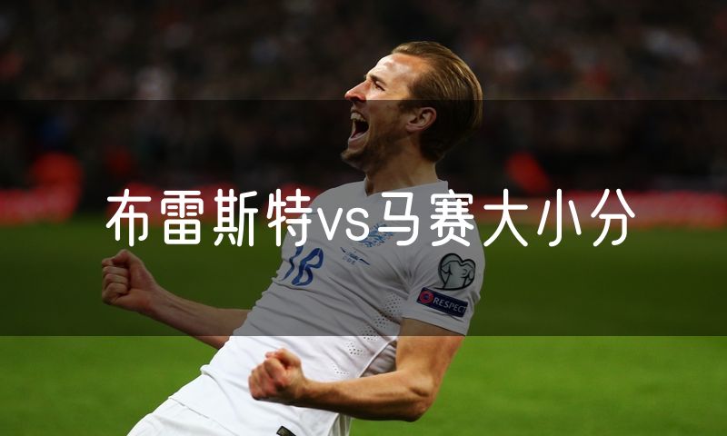 布雷斯特vs马赛大小分