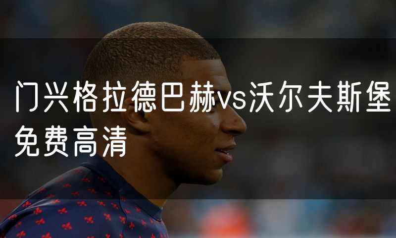 门兴格拉德巴赫vs沃尔夫斯堡免费高清
