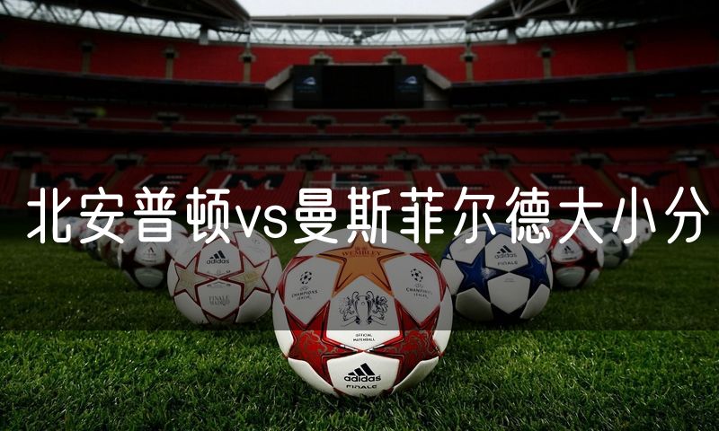 北安普顿vs曼斯菲尔德大小分