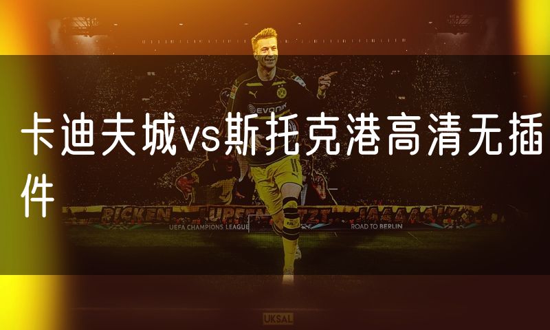 卡迪夫城vs斯托克港高清无插件